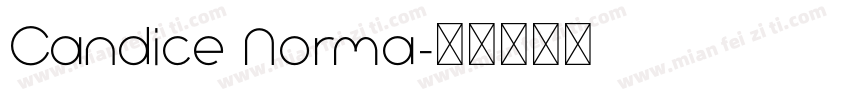 Candice Norma字体转换